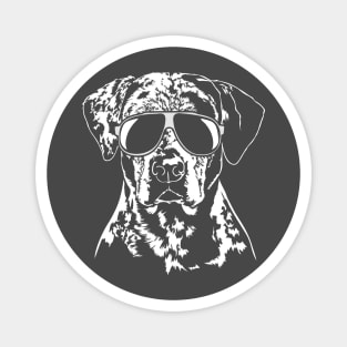 Funny Catahoula Leopard Dog with sunglasses Magnet